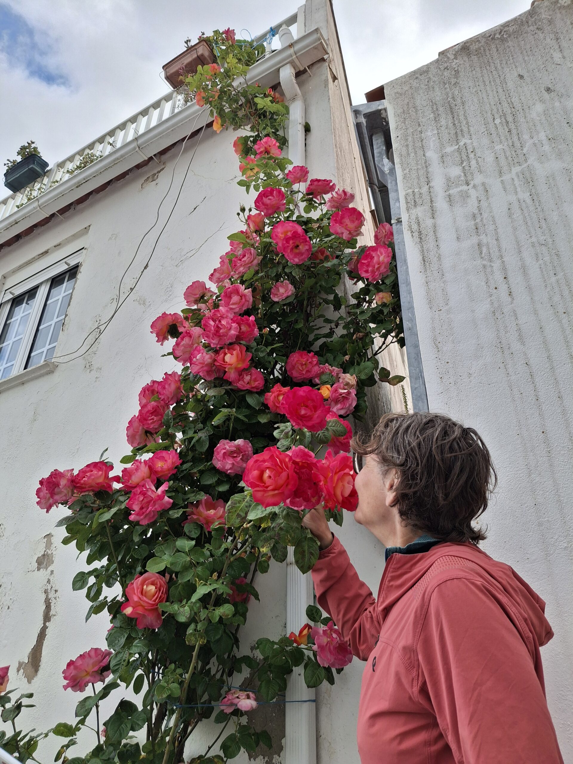 May 5, 2026 – Foz Coa to Almeda – Serious cycling again :)